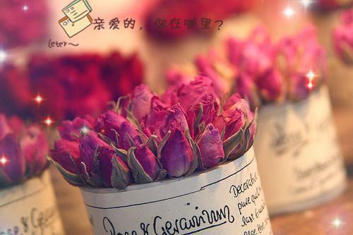 奧德修斯的明身故事 奧德修斯對兒子表明身份