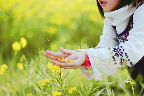 实用的花语作文合集十篇
