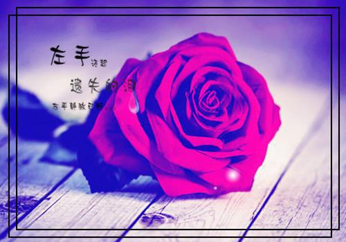 虽然美但还是很痛心的唯美句子