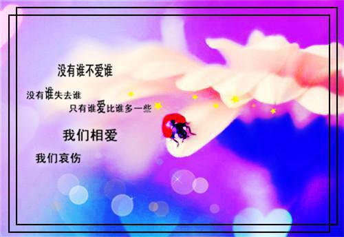 最感人的浪漫爱情故事