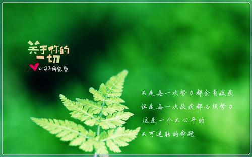 正能量句子