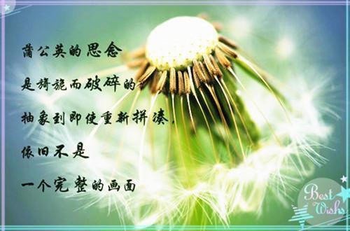 口头、礼仪谚语
