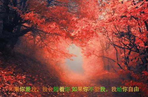 2021最新令人心酸的句子2021最经典心酸心情语录