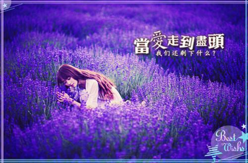 我的爱情