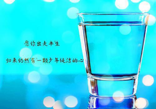 经典的谚语大全