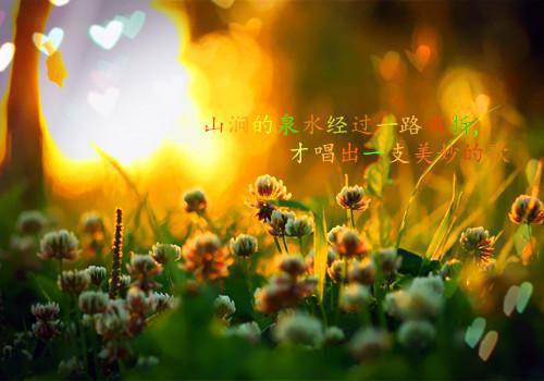 等你，无约而至