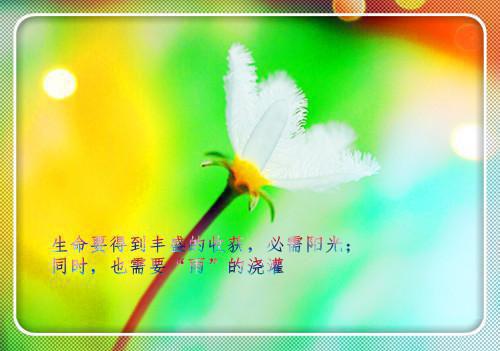 名人名言名句下载