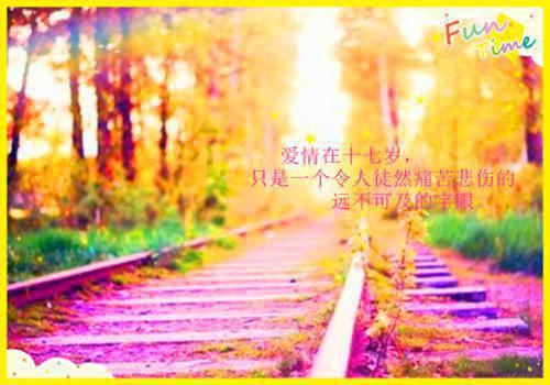 感谢同事帮忙的话语