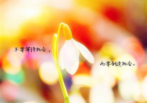 有关高中青春的优美散文