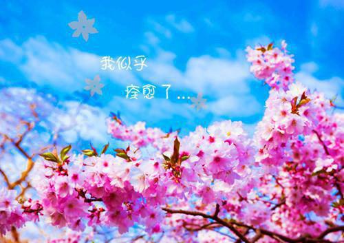 最经典的名人名言