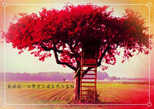 目标的名言名句