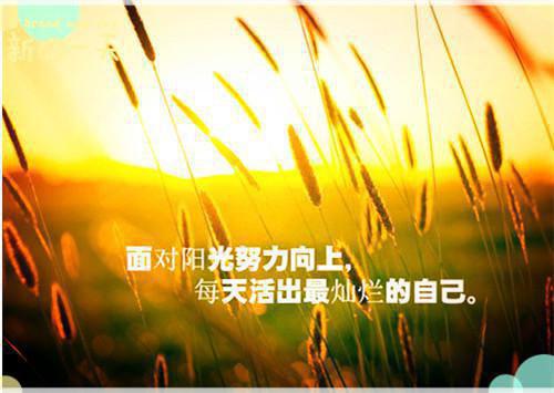 勇于承擔(dān)責(zé)任的故事小故事