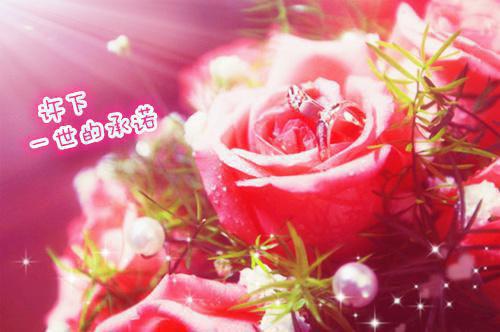 下辈子如果你还记得我
