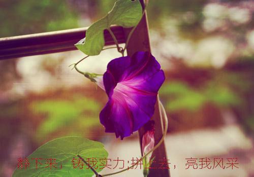 《辣妈正传》经典台词