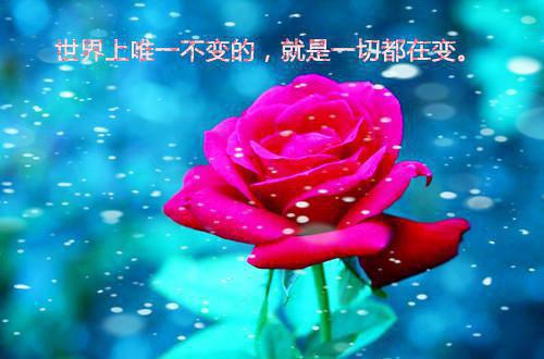 2021搞笑顺口溜史上最幽默