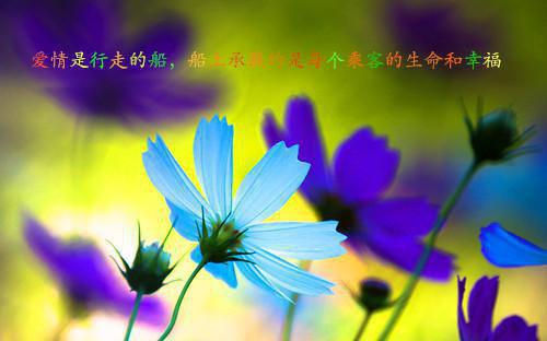 经典的现代励志诗精选励志现代诗歌
