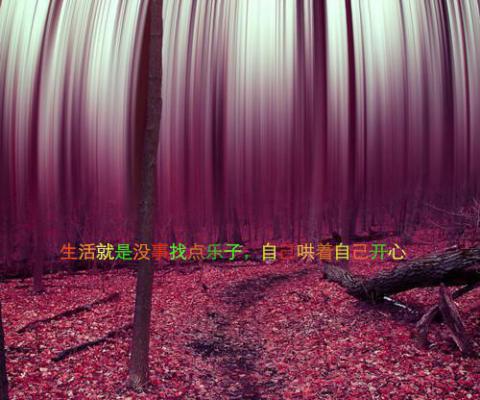 712岁启蒙故事：小鹿姐姐的歌