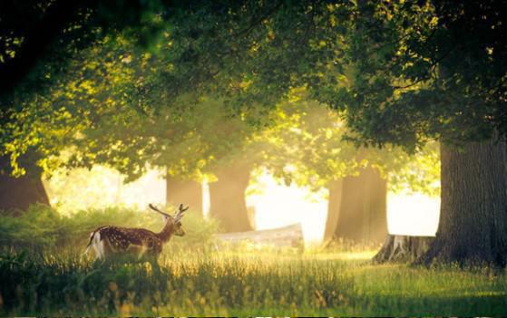 作品 亿万盛宠只为你(尹少桀韩韵儿)全文免费_(尹少桀韩韵儿)作品 亿万盛宠只为你后续阅读(尹少桀韩韵儿)