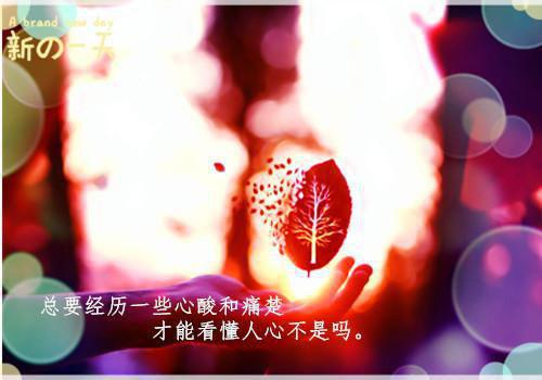 不乱扔垃圾的顺口溜