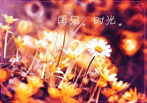 一生一世只为一人