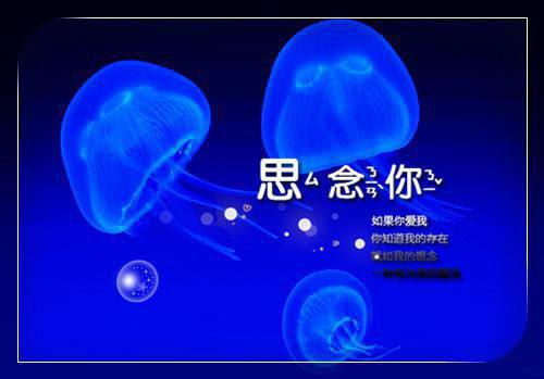 珍惜时间唯美句子