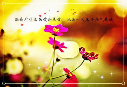 关于黑社会的励志名言