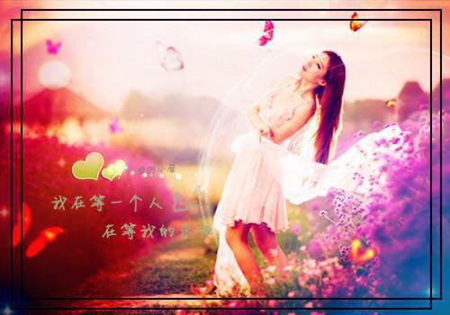 八只鸡蛋的爱