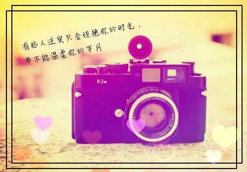 爱情感悟短语