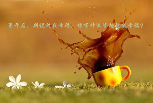 蜗居经典语句大全