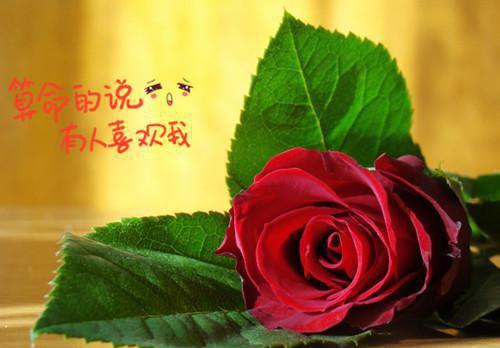 小学生童话故事比赛里的故事