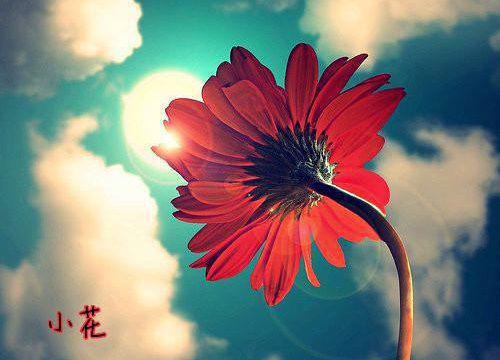悬梁刺股的故事