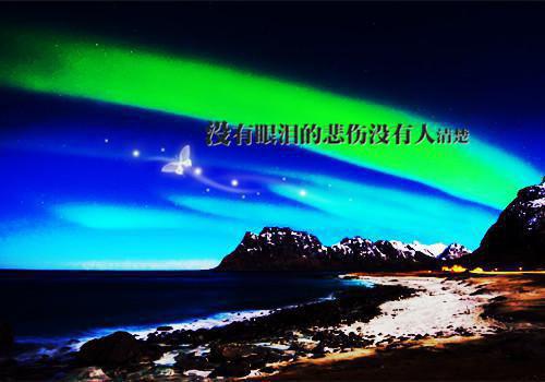 青铜葵花读后感800字作文