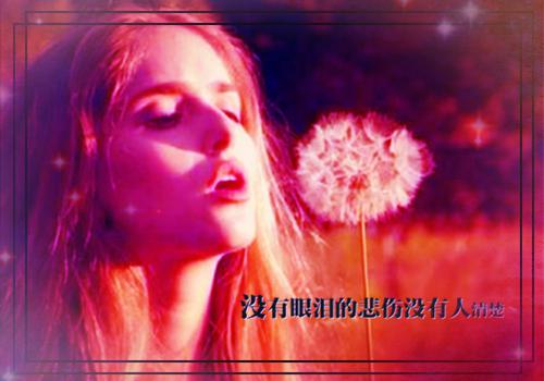 给老婆质朴的情书（精选20篇）