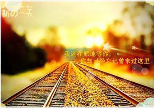 赞美人的励志诗句20句