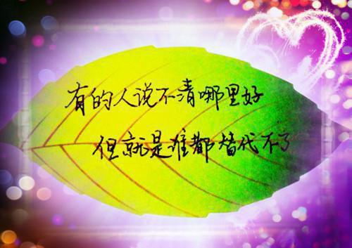 人生感悟的心情说说语录