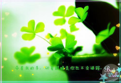 圣经的励志格言
