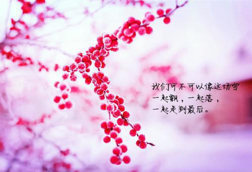 有趣的宝宝睡前故事文字版