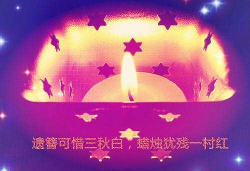 一句话经典语录：寻找幸福，不如经营幸福