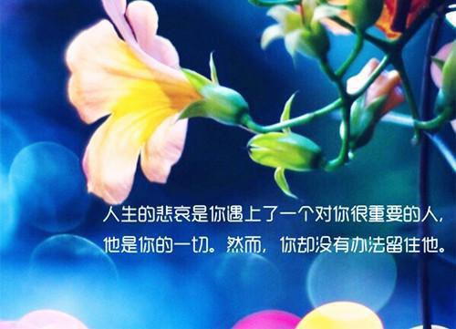 关于小刺猬的睡前故事走失的小刺猬