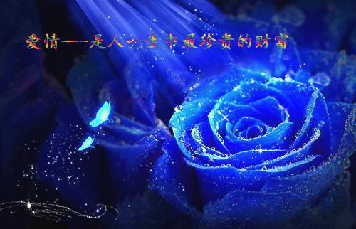 改变你人生高度的励志格言
