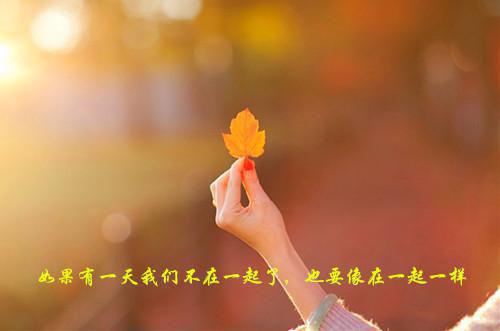 中国民间谚语大全