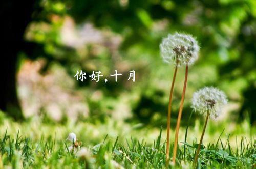 人生真理励志格言