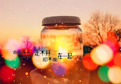 人生感悟语句经典
