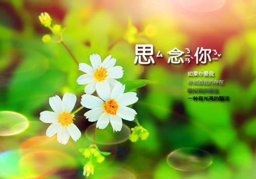 世界读书日我国古今名人读书名言