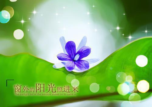 简短青春唯美伤感句子