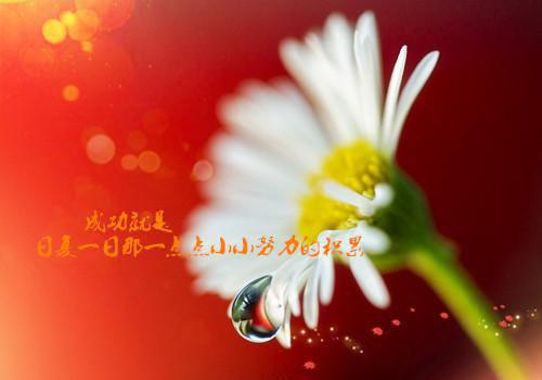 形容失恋痛苦的句子