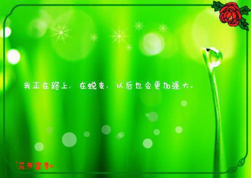 鞋匠师傅的故事