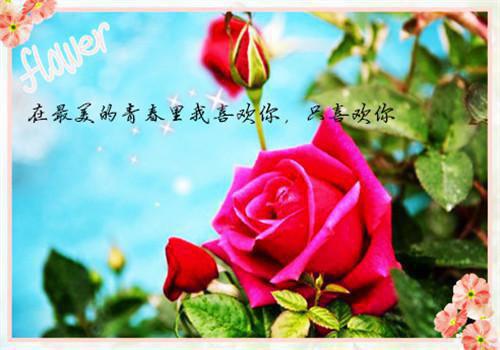兒童經(jīng)典故事文字版兒童經(jīng)典故事文本