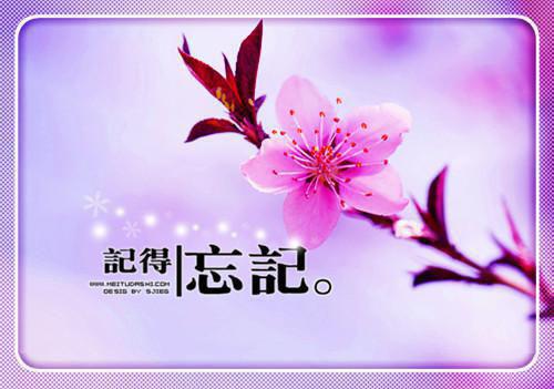 团队合作的励志名言