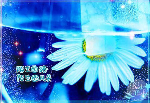 与班集体有关的名言